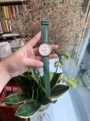 Thay dây đông fhồ DW